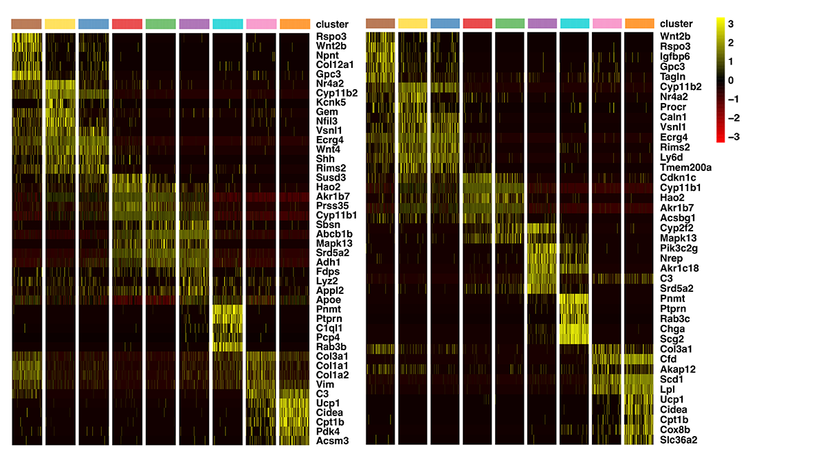 Marker heatmaps